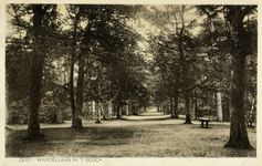 16342 Gezicht in een laan met loofbomen in het Zeister Bosch te Zeist.